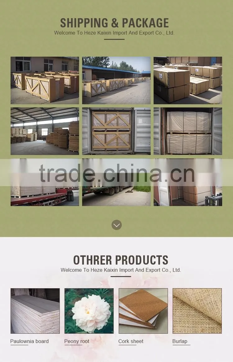 various types hdf molded smooth door skin