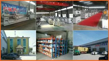 Shandong CCI Trade Co., Ltd. company overview - view 1