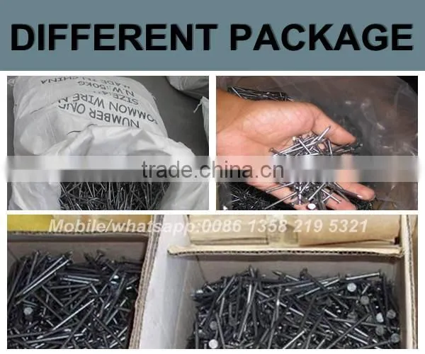 common wire nails supplier from China special for yemen market