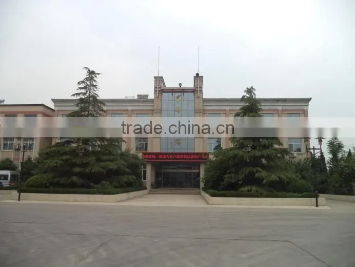 Shandong Yaohua Glass Co., Ltd. company overview - view 3
