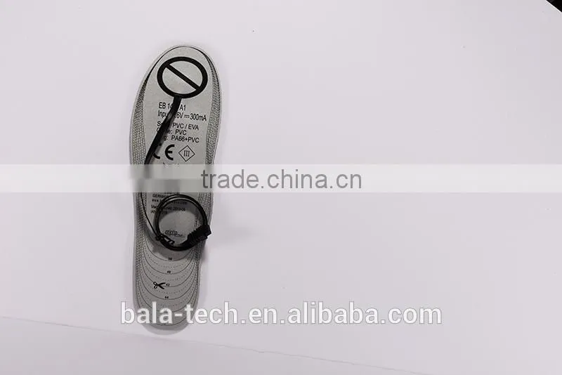li-on battery heated insole