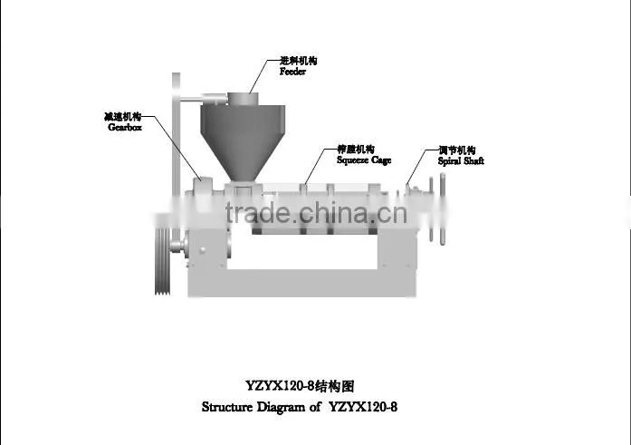 YZYX120WZ moringa seed oil extraction machine