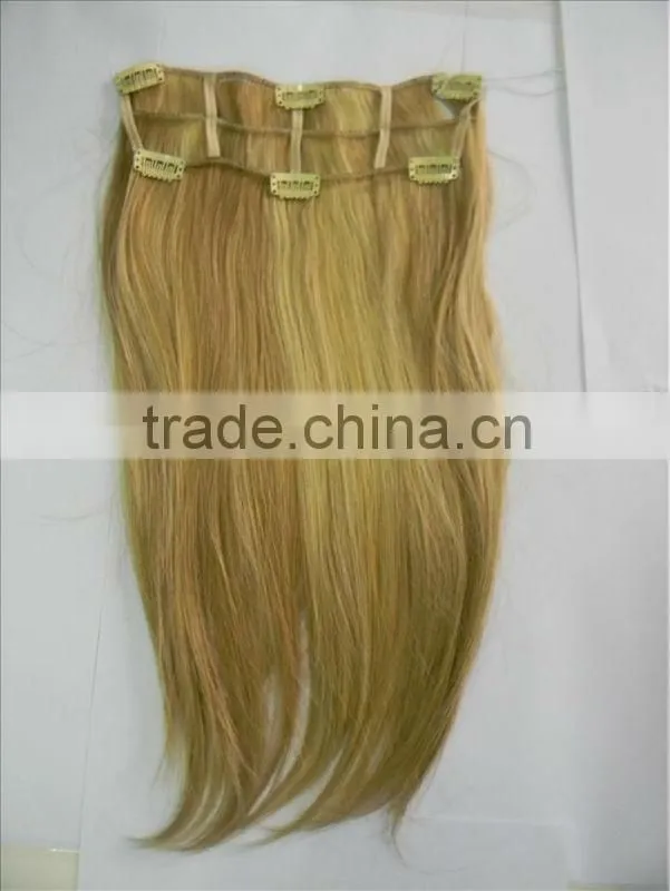 Clip in silk straight hair extension