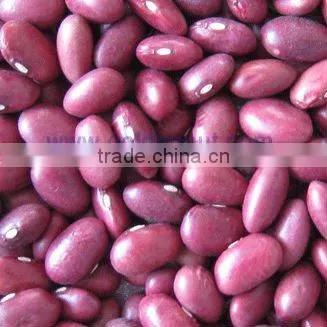 kidney beans