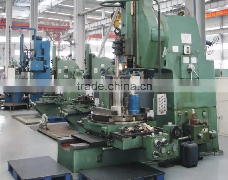 5 tons Pineapple production line