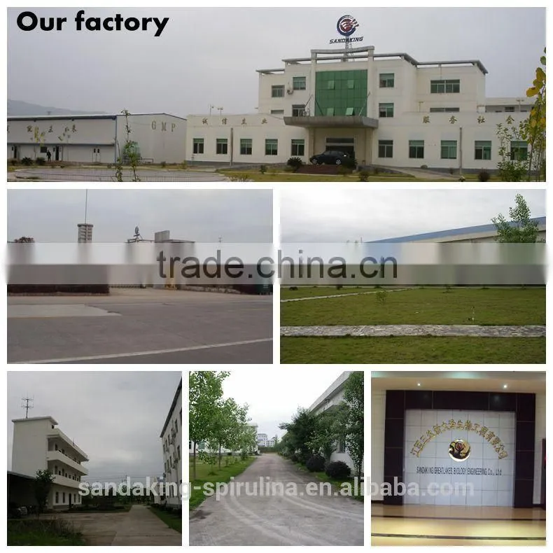 Gmp Certified Manufacturer Supply High Quality Spirulina Powder