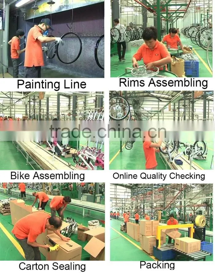2016 16 inch mini cheap price bicycle fold/folding bike/bicycle folding (FD-16002)