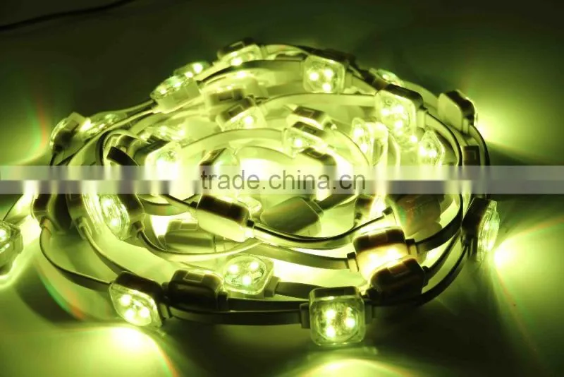 Professional Programmable 25MM DC12V Led Signage Light for display