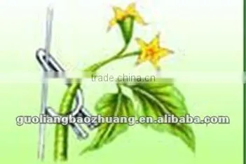 Garden Plant Hook