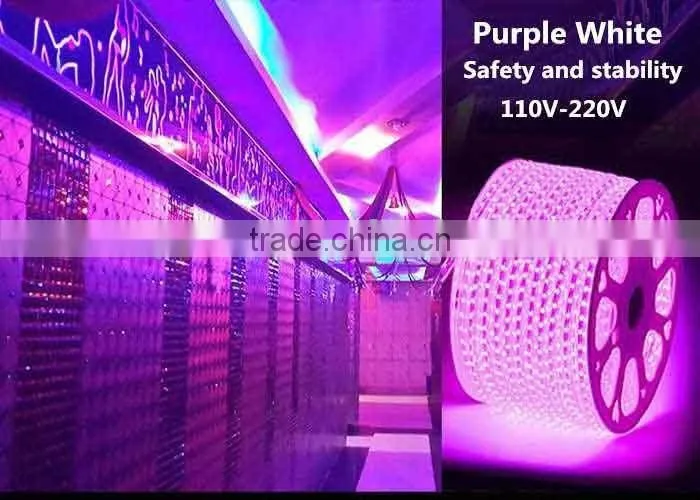 DIY LED Rope Light 110-220V IP67 Multiple Color LED Strip Light