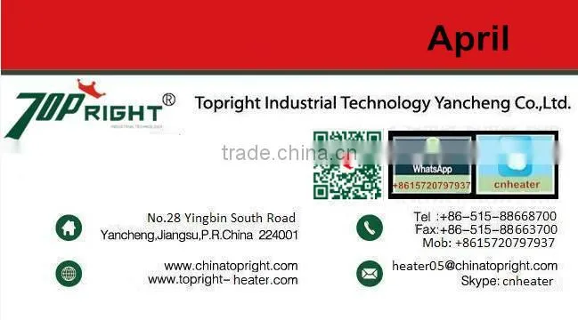 Custom 3kw high resistance stainless custom-built electric steamer flange tubular heater