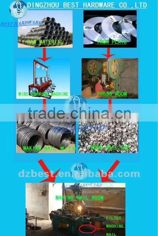 galvanized roofing nail with umbrella head from DINGZHOU BEST HARDWARE CO.,LTD
