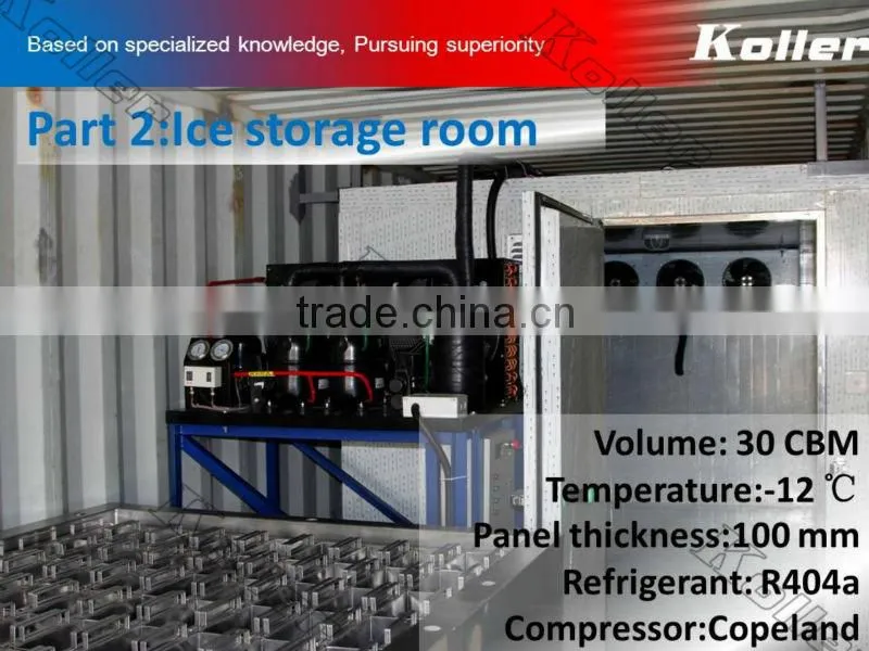 a simple ice block plant in container with cold room