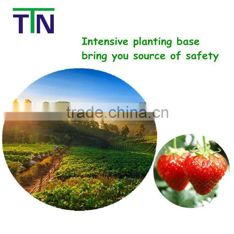 TTN Instant wholesale fruit flavored drink powder Fruit powder