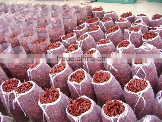 red chili