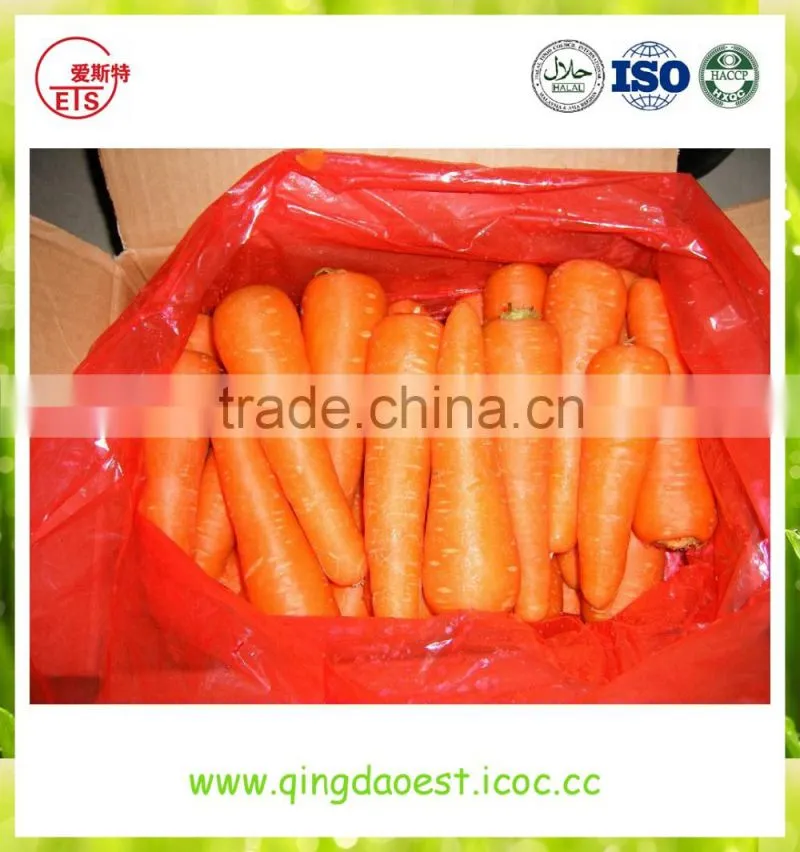 High quality fresh 2016 new carrot