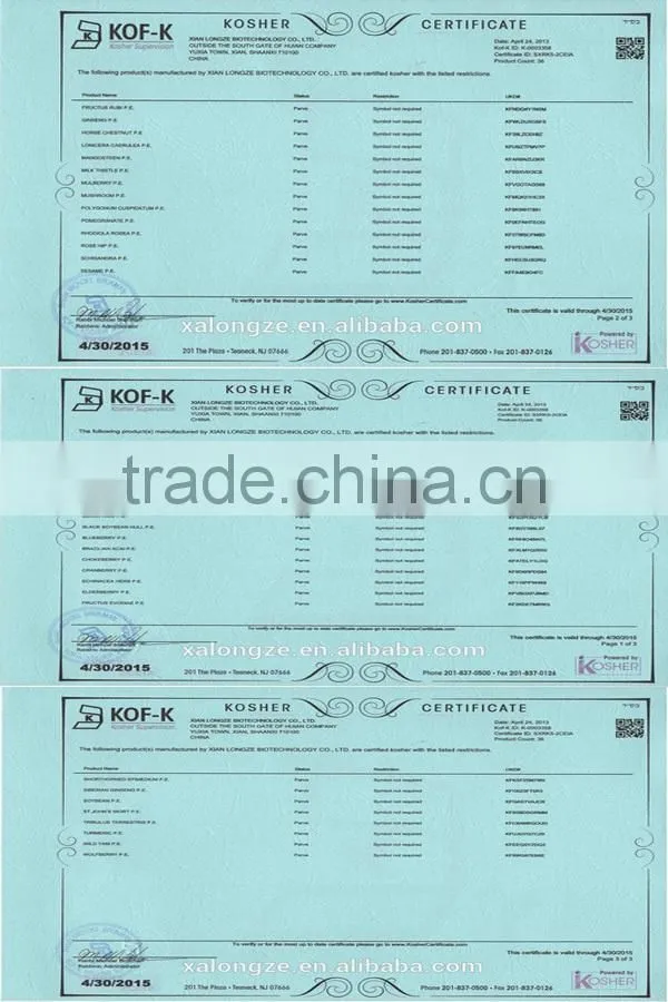 Echinacea Purpurea Extract echinacea purpurea extract in bulk