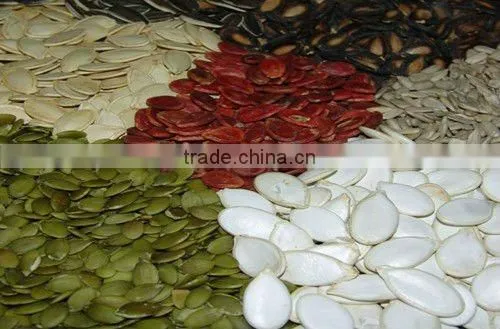 roasted and salted SNOW WHITE PUMPKIN SEEDS