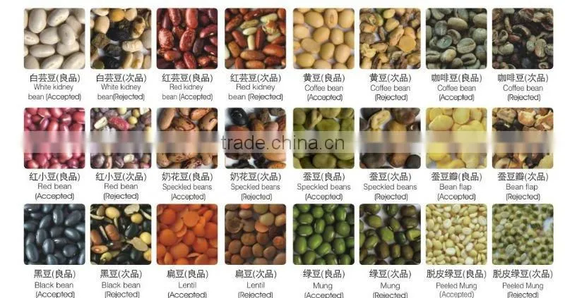 Automatic ccd bean sorting machine