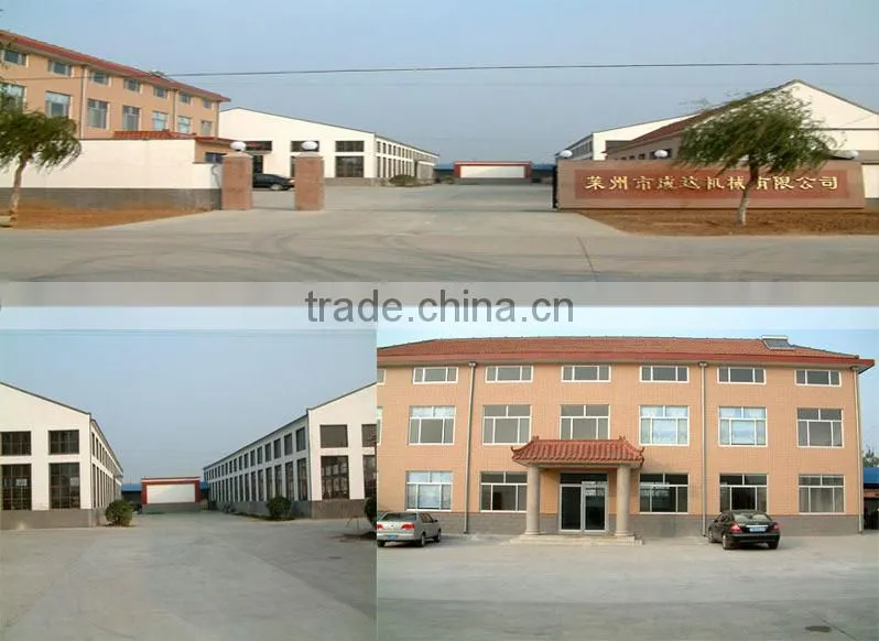 CE Approved Mini Wood/Maize/Soybean Pellet Machine For Sale