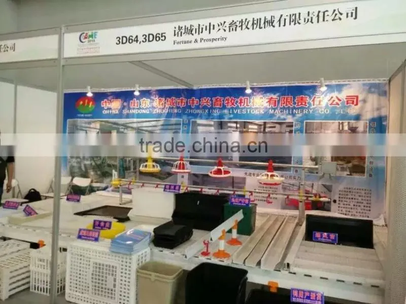 plastic chicken tranport stackable cage/box/crate for child chicken