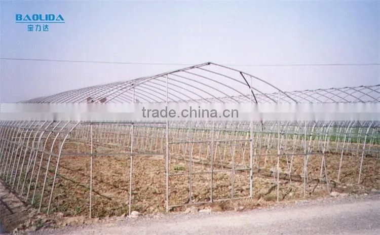 Arch Pipes Tunnel Greenhouse Grow Tent/Plastic Greenhouse For Vegetables