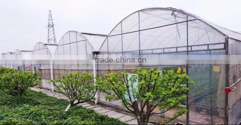 The simple film greenhouse steel structure