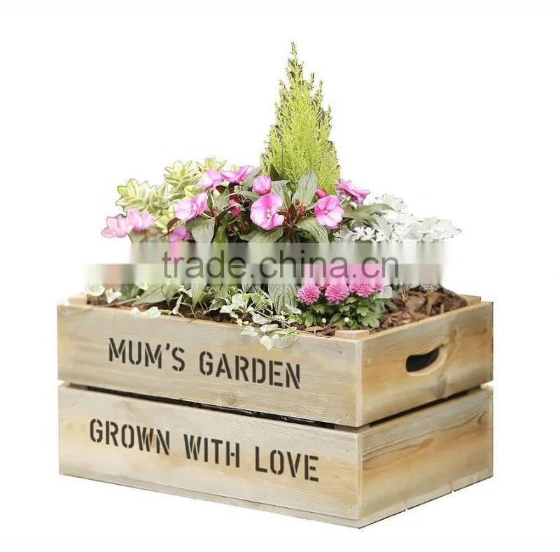 vegetable Wooden Garden Plant Tray