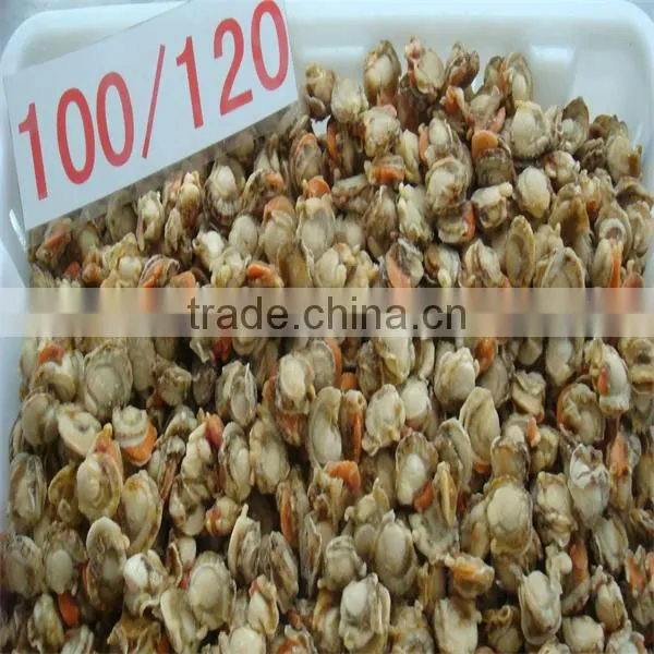 sea frozen cooked raw sacllop adductor