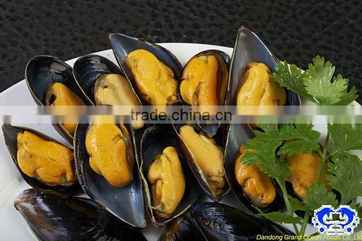 seafood frozen mussel with half shell