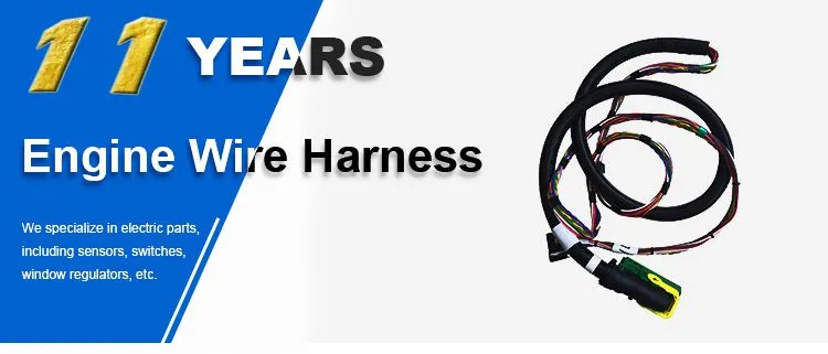20586978 Customize Auto Wire Harness Wiring And Cable Wireharness Truck Engine Custom Electric Wire Harness For VOLVO