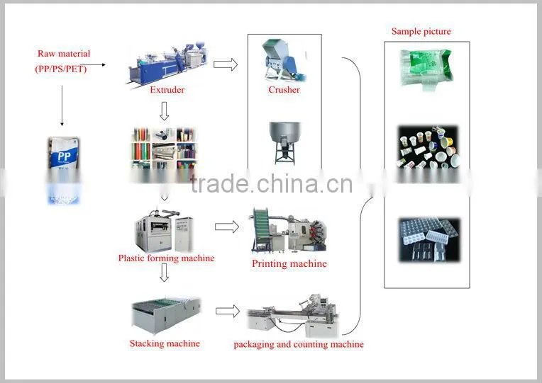 Plastic Coffee Cup Forming Machine Manufacturing line