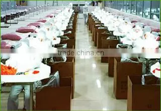 Shandong Searsport Foods Co., Ltd. company overview - view 1