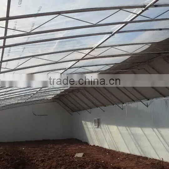 Cold Frame Greenhouse