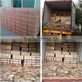 galvanized roofing nails/ umbrella roofing nails