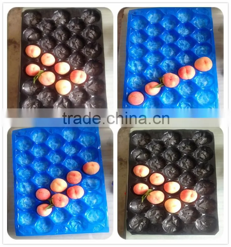 Disposable Plastic Fruit Strawberry Packaging Tray