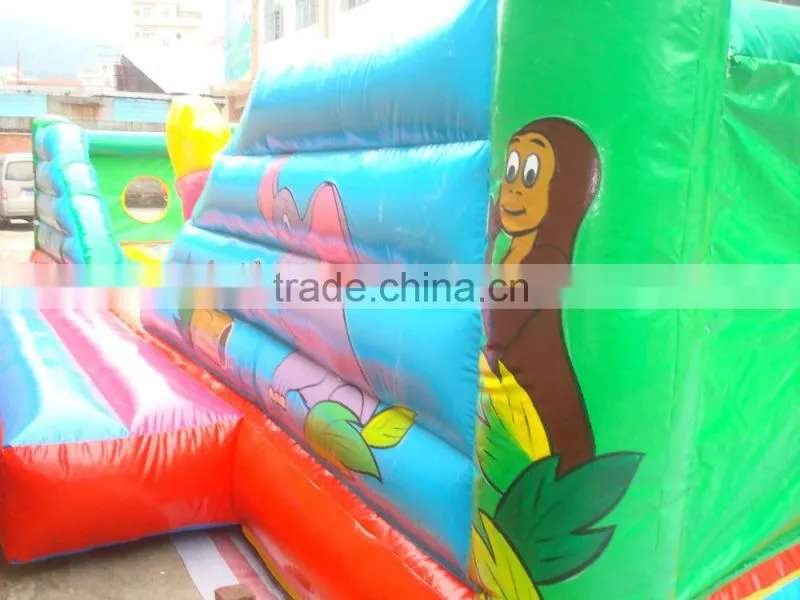 inflatable amusement park item
