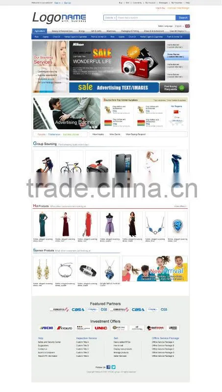 Effective website promotion and marketing