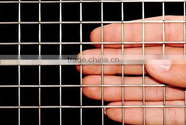 1/4 inch galvanized welded wire mesh