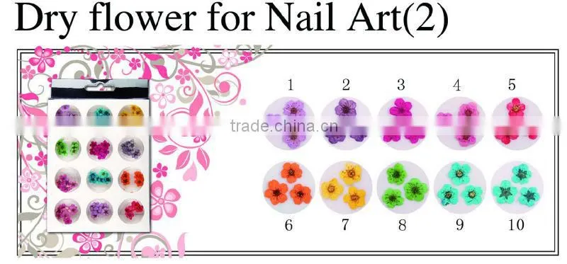 Dry flower for nail art /nail 3D decoration