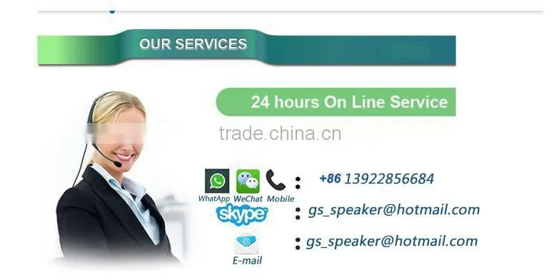 Professional UHF wireless microphone