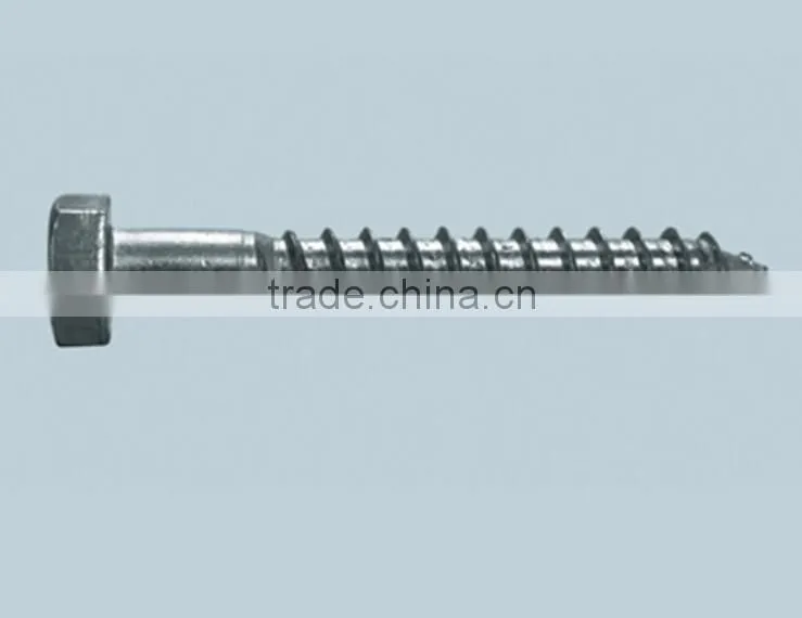 Stainless Steel DIN 571 hex wood screw