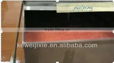 tomato paste production line