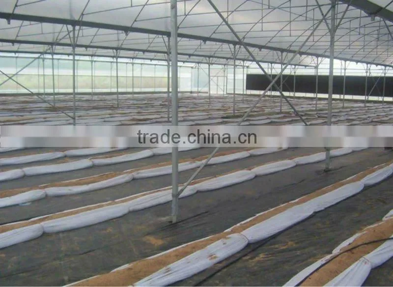 black pp woven fabric roll
