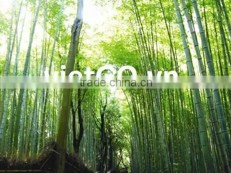 Bark fence with bamboo pole