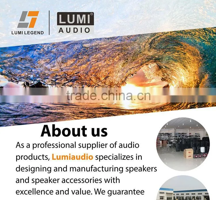 5 Inch Two way Frameless High Quality In Wall Mount Speaker