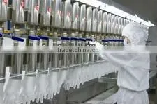 Disposable PE gloves