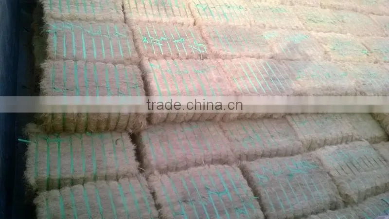 Coconut Fiber High quality (qq : 2598494113)