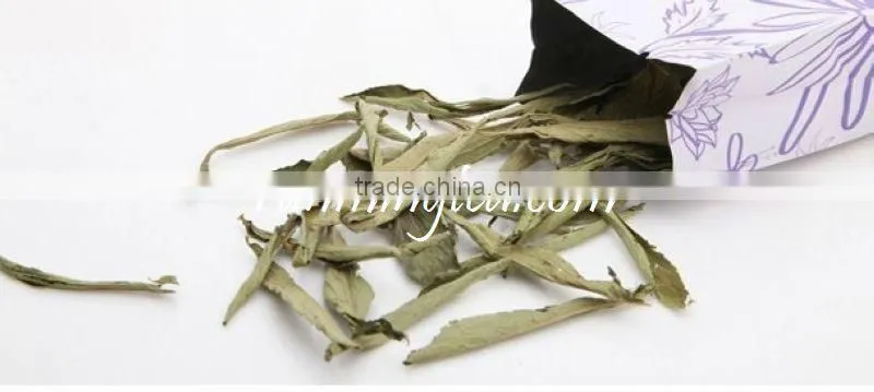 Stevia Sweet Leaf