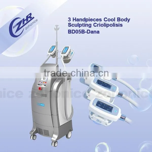 Salon use Cryo Fat Freeze Cryo Slimming Machine for sale BD05B